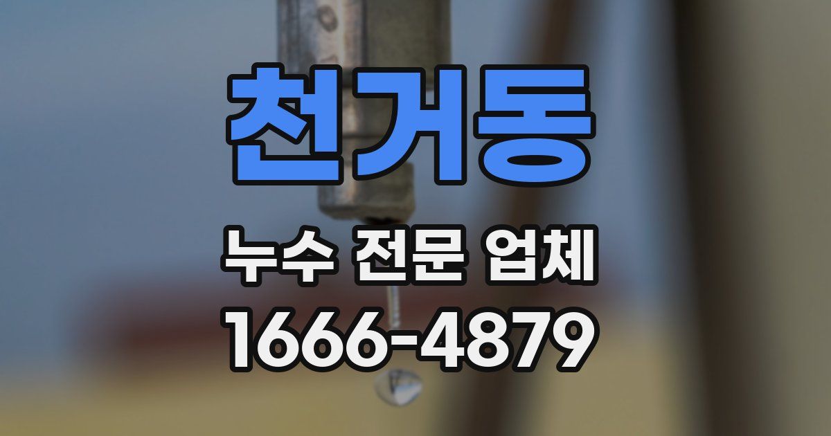 천거동 누수 전문 업체