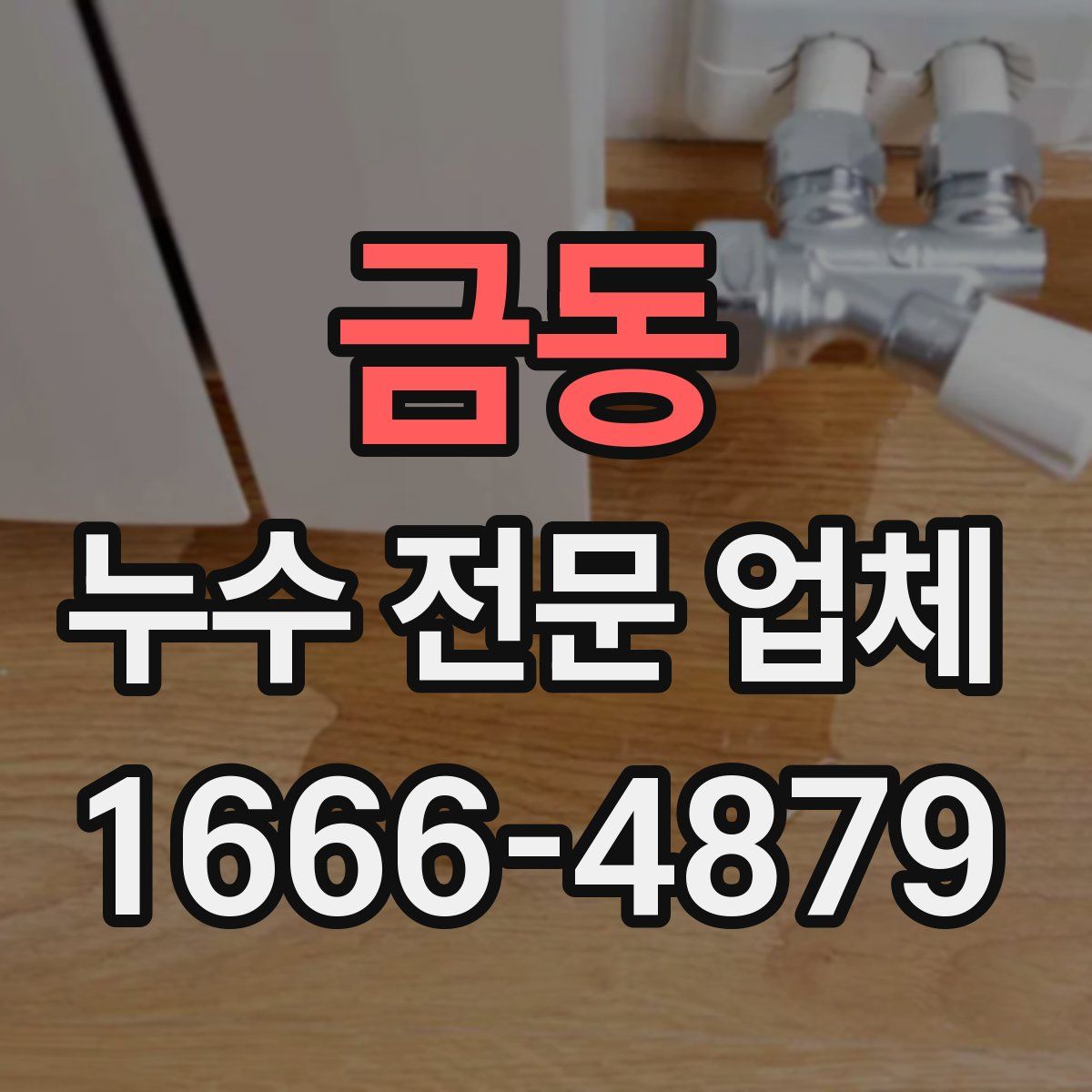 금동 누수 전문 업체