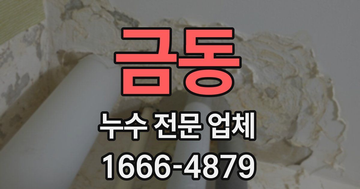금동 누수 전문 업체