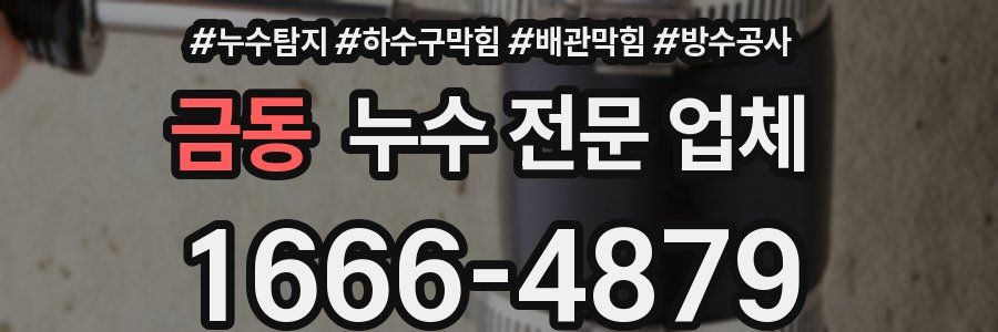 금동 누수 전문 업체