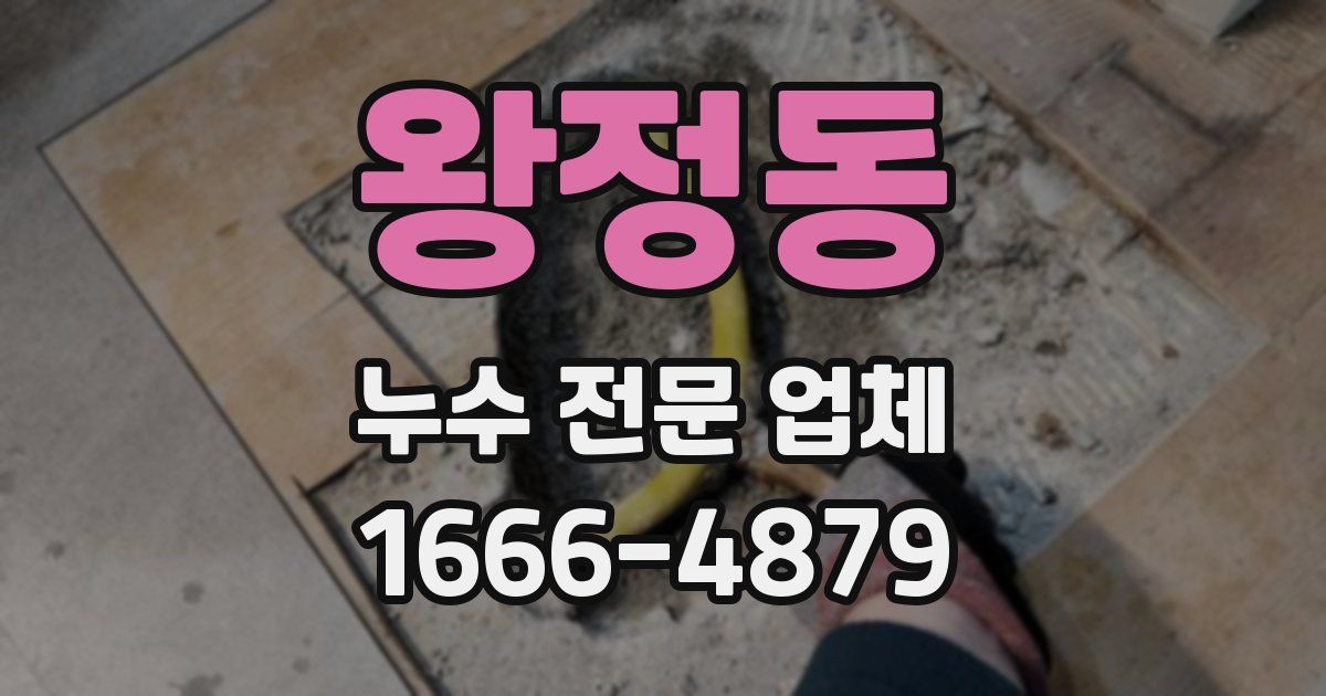 왕정동 누수 전문 업체