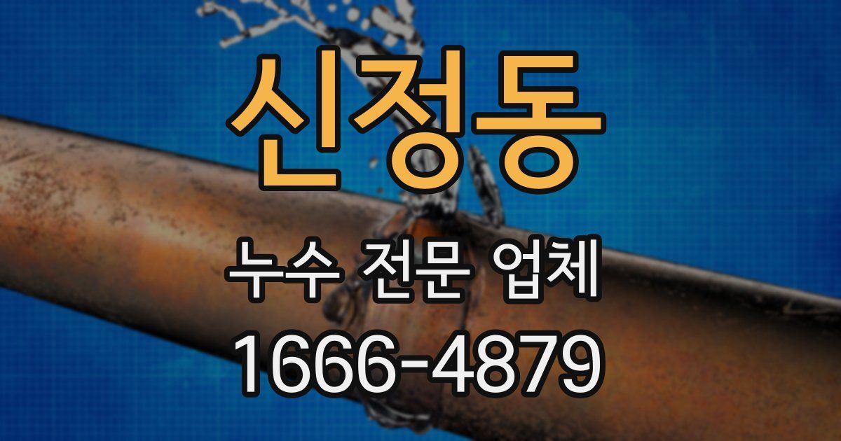 신정동 누수 전문 업체