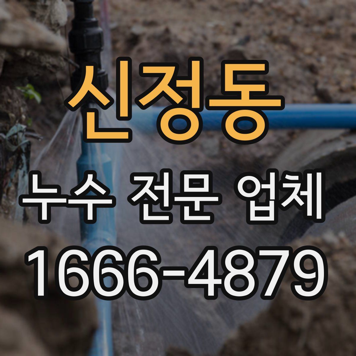 신정동 누수 전문 업체