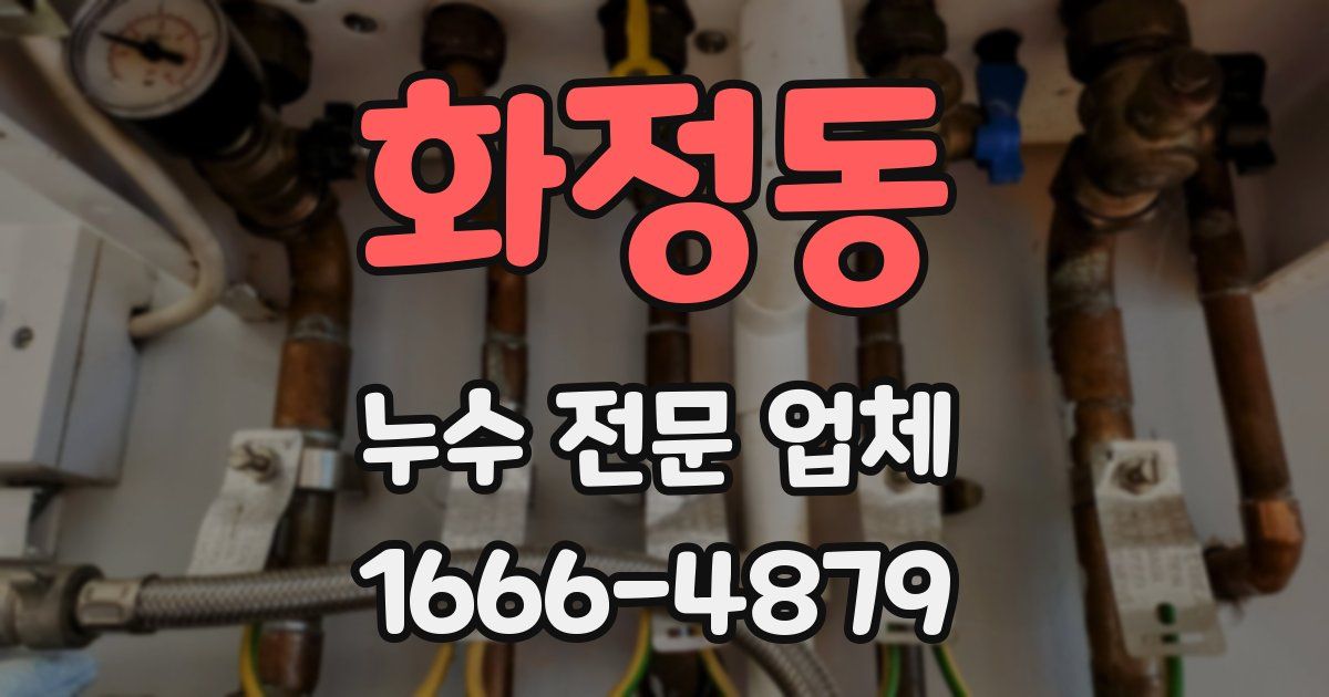 화정동 누수 전문 업체