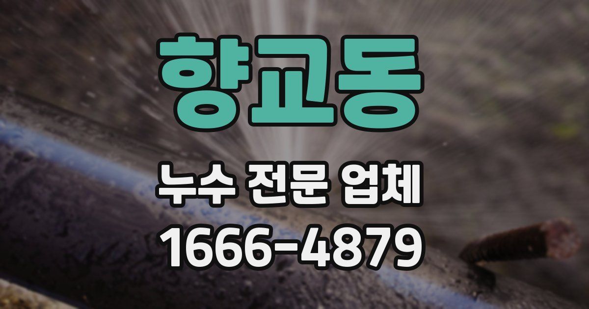 향교동 누수 전문 업체