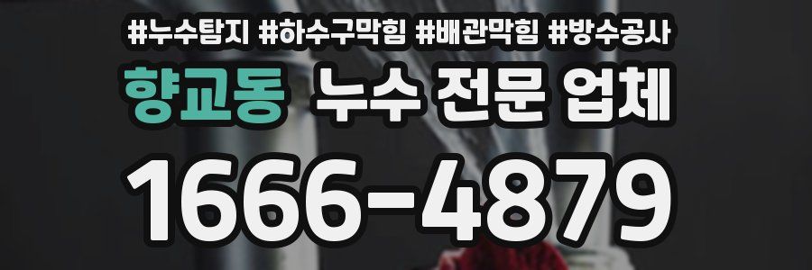 향교동 누수 전문 업체