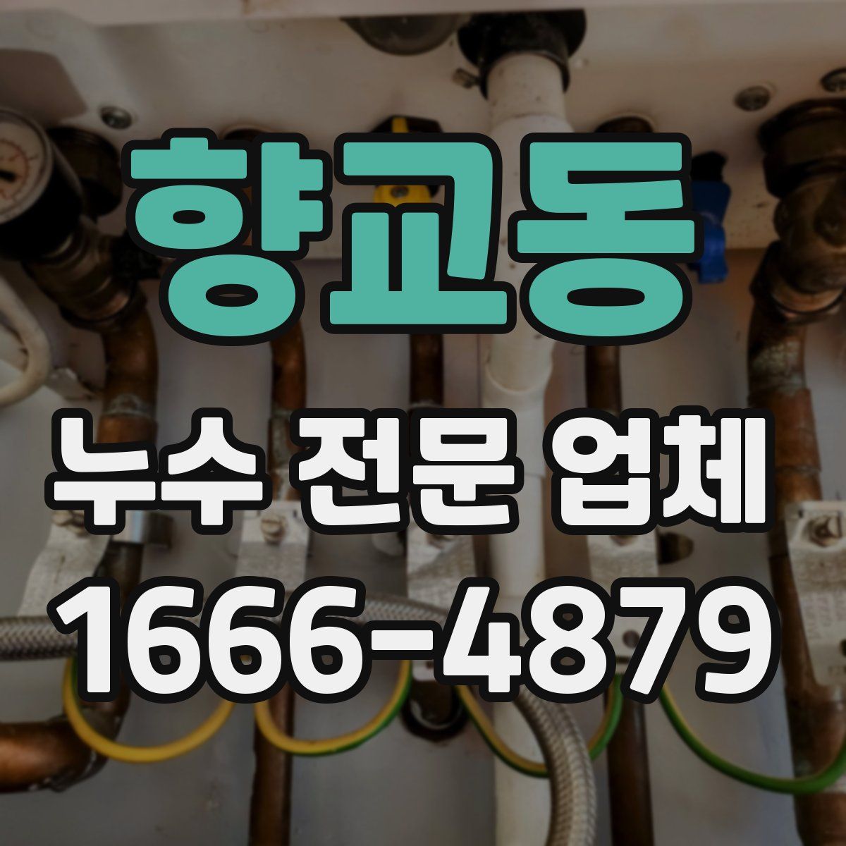 향교동 누수 전문 업체