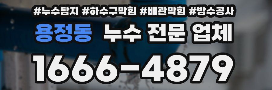 용정동 누수 전문 업체