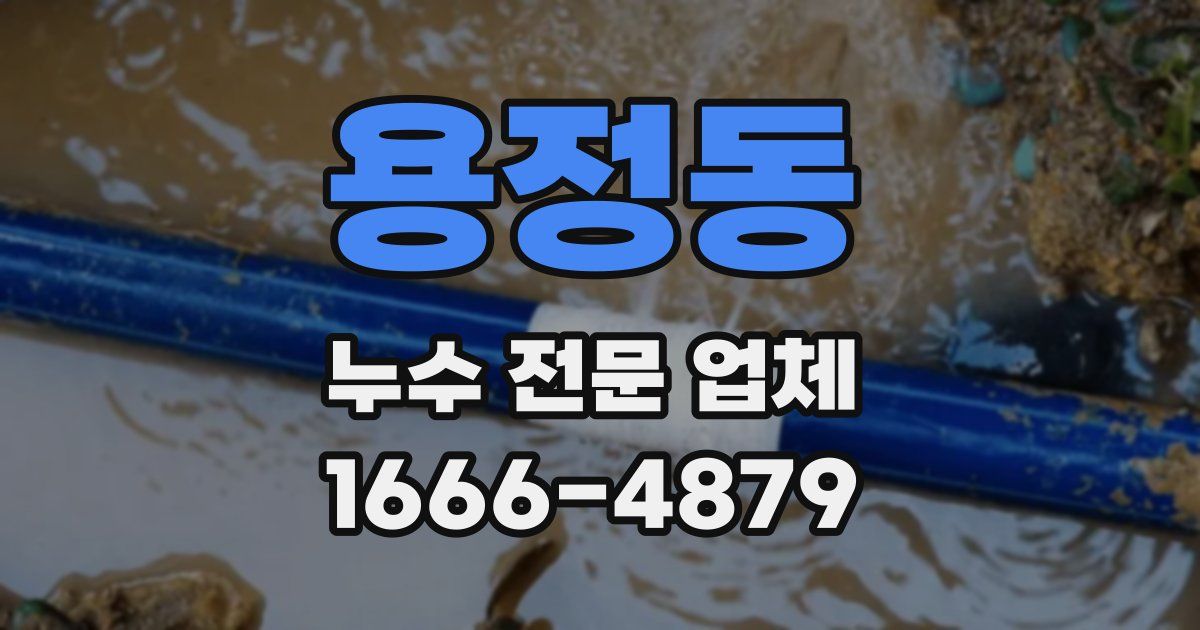용정동 누수 전문 업체