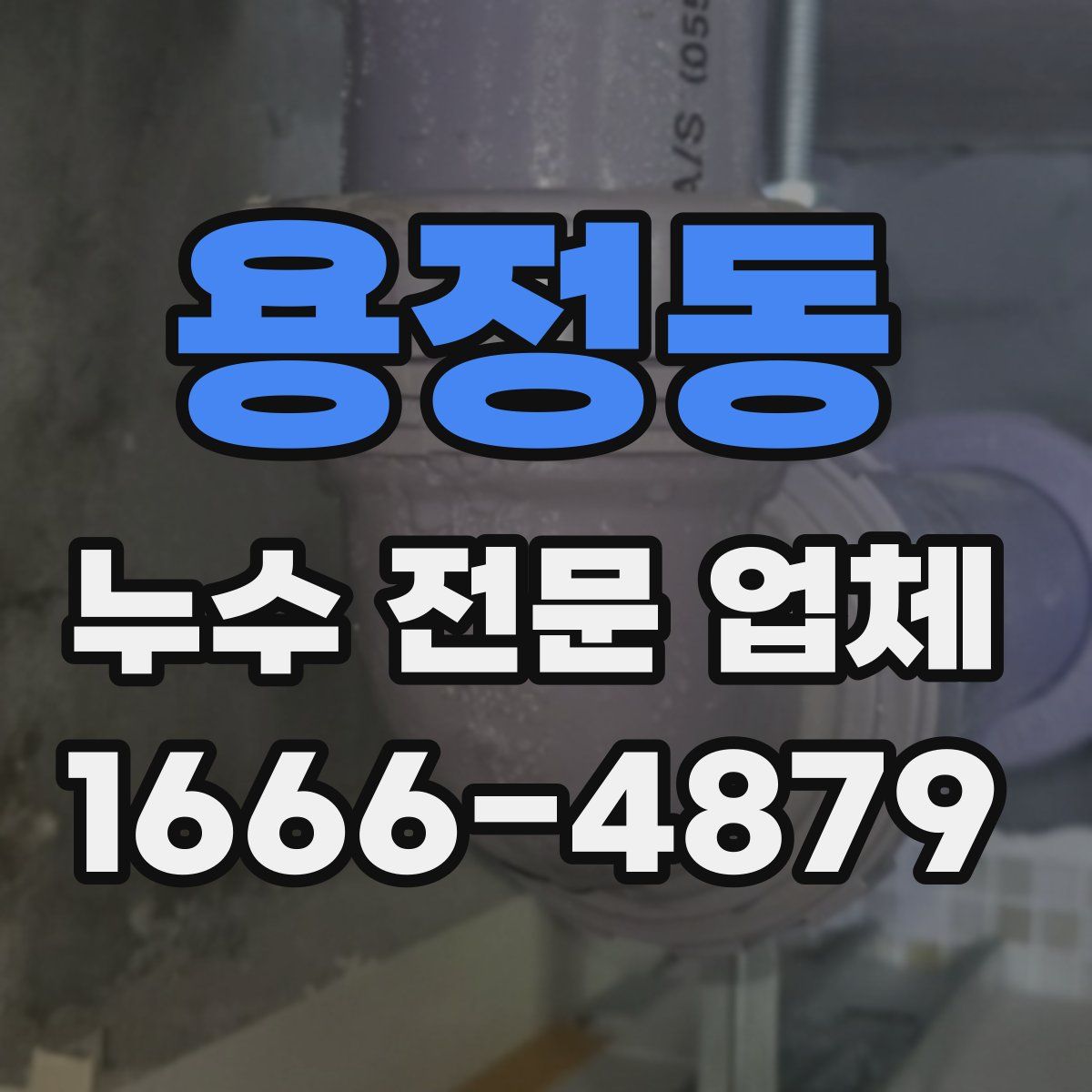 용정동 누수 전문 업체