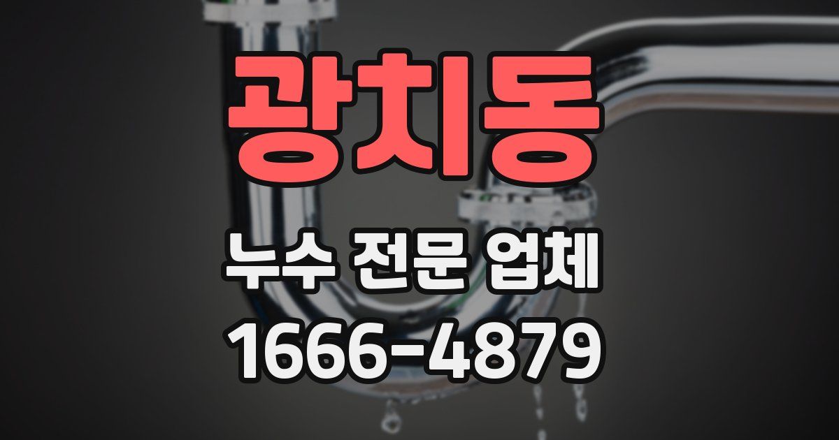 광치동 누수 전문 업체