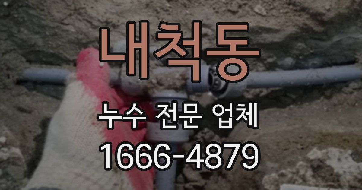 내척동 누수 전문 업체