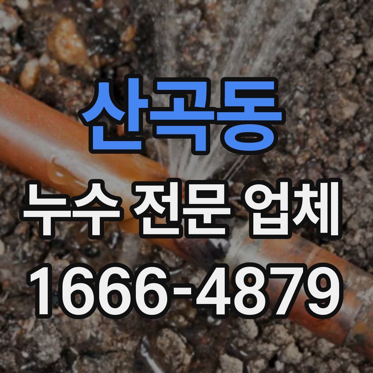 산곡동 누수 전문 업체