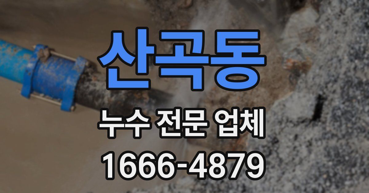산곡동 누수 전문 업체