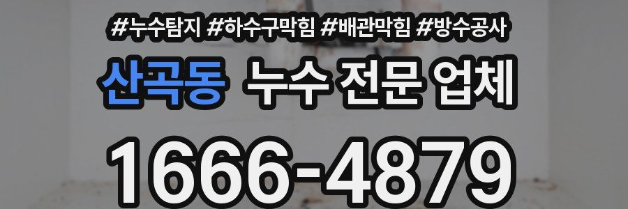 산곡동 누수 전문 업체