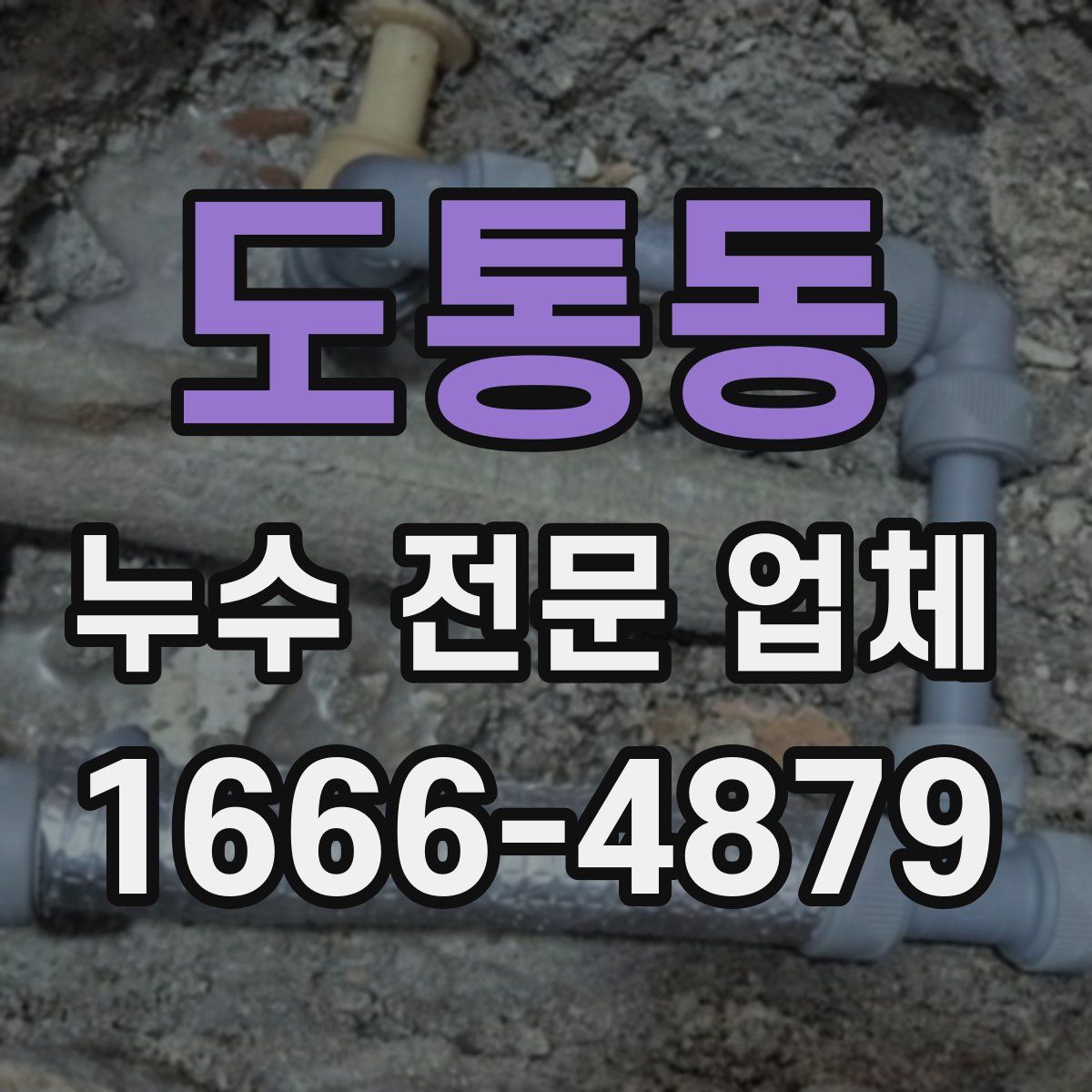 도통동 누수 전문 업체