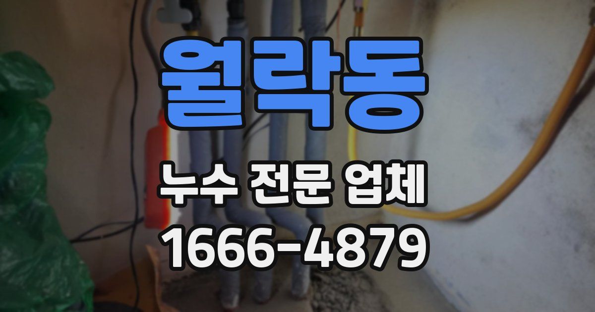 월락동 누수 전문 업체
