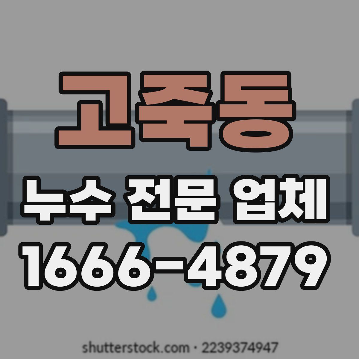 고죽동 누수 전문 업체