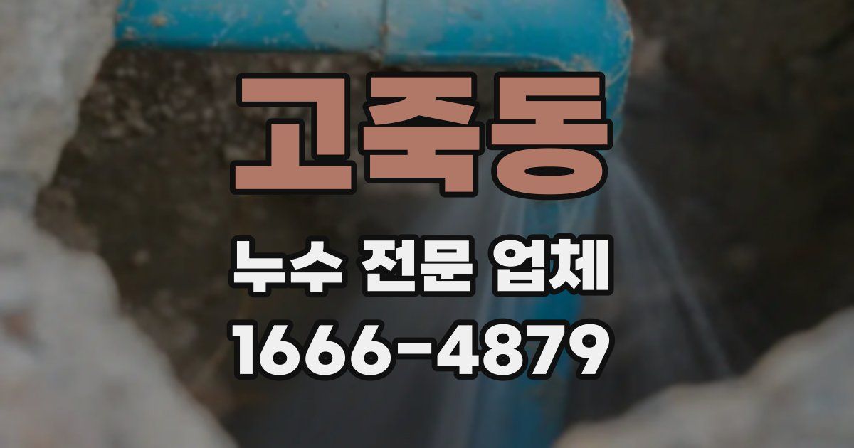 고죽동 누수 전문 업체