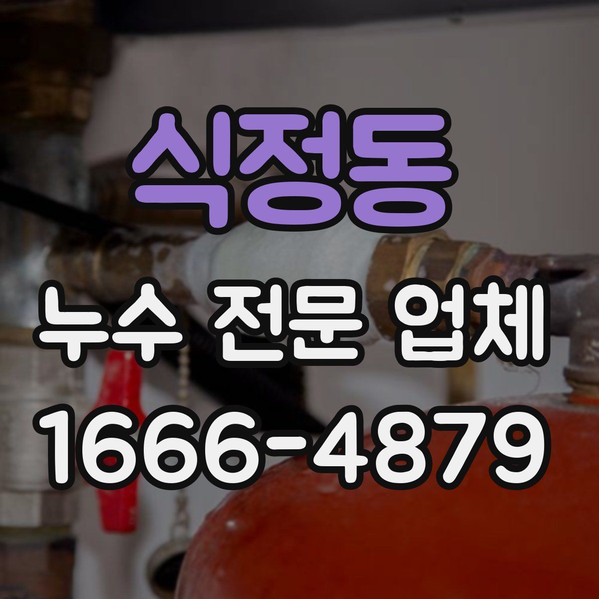 식정동 누수 전문 업체