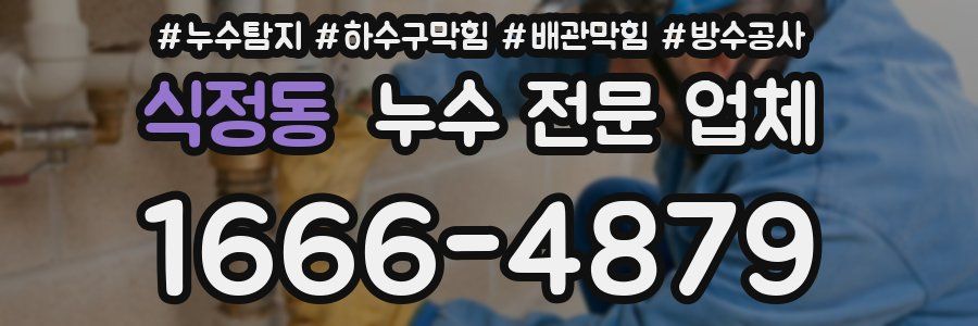 식정동 누수 전문 업체