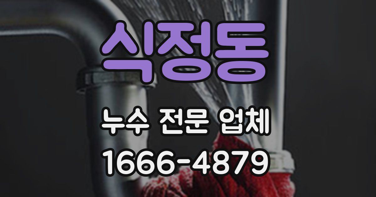 식정동 누수 전문 업체