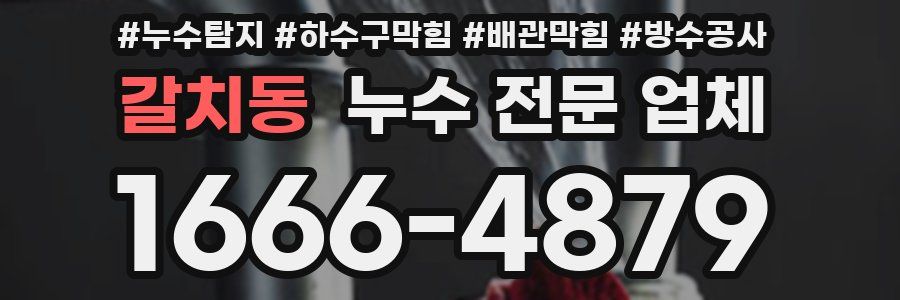 갈치동 누수 전문 업체