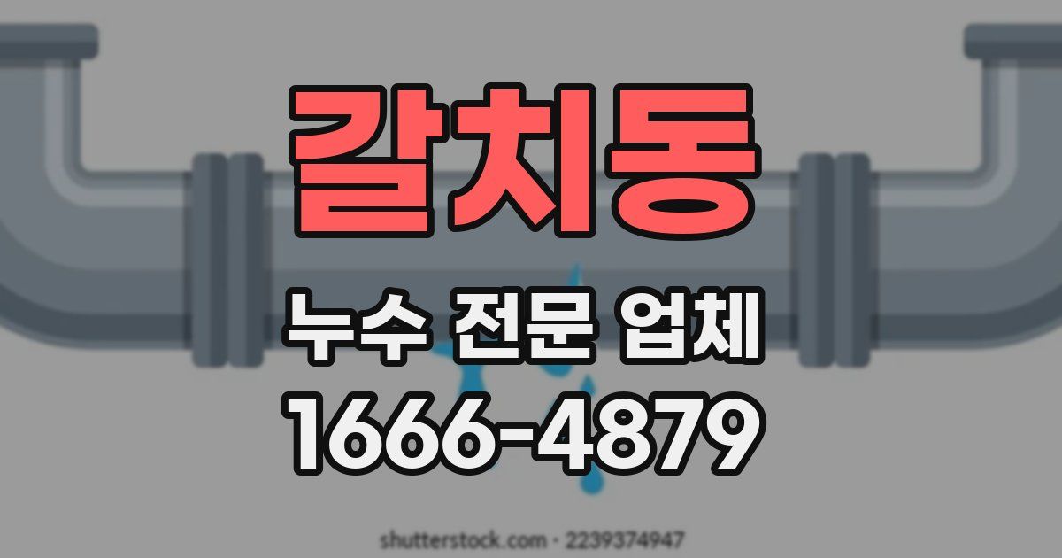 갈치동 누수 전문 업체