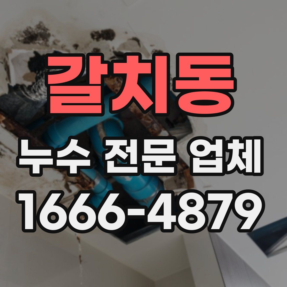 갈치동 누수 전문 업체