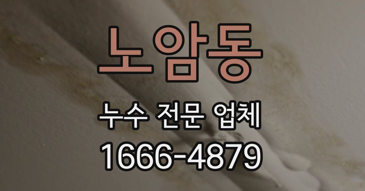 노암동 누수 전문 업체
