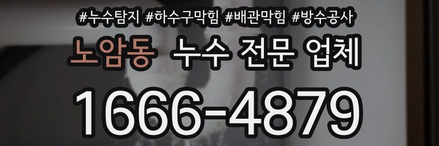 노암동 누수 전문 업체