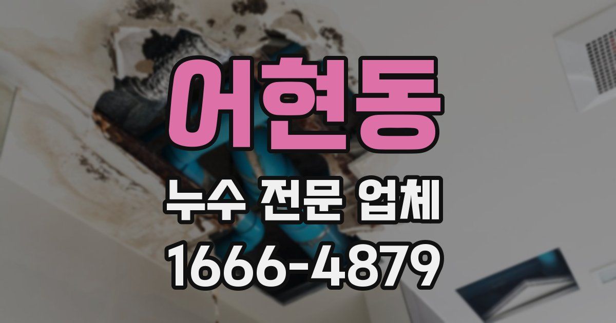 어현동 누수 전문 업체