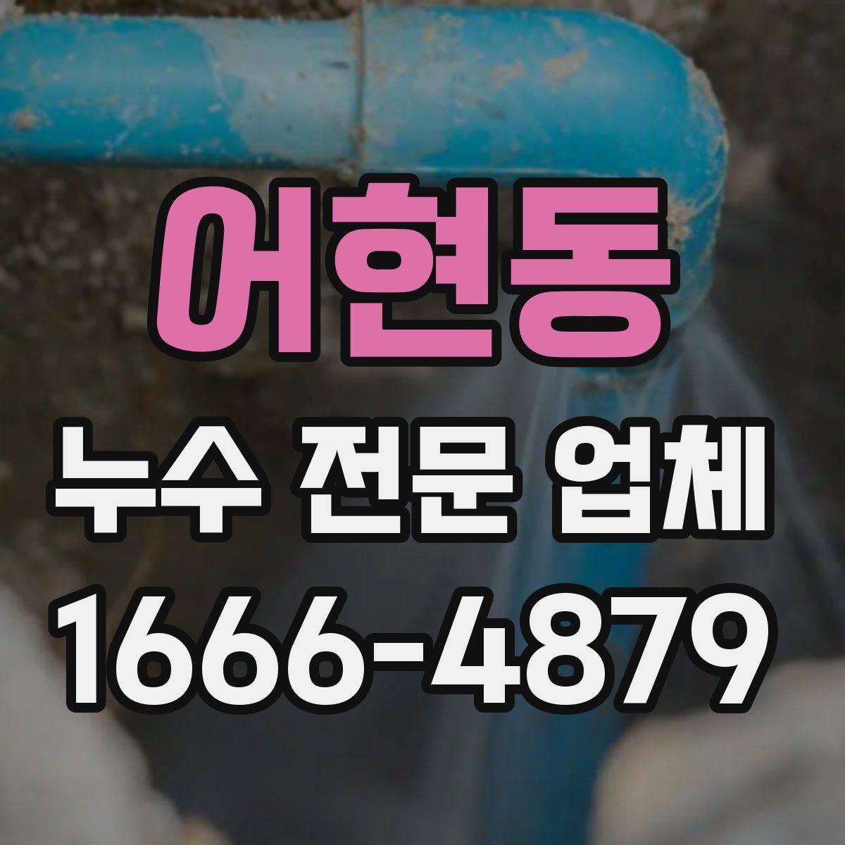 어현동 누수 전문 업체