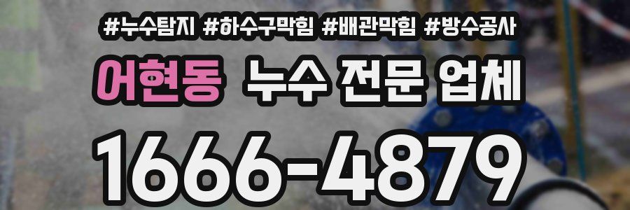 어현동 누수 전문 업체