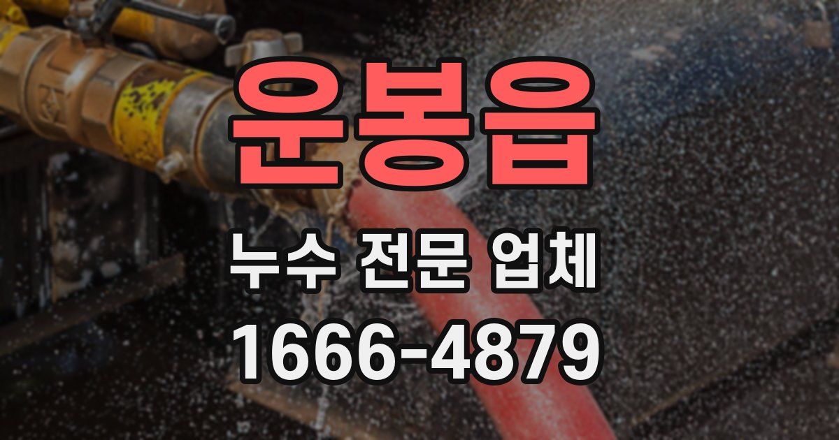 운봉읍 누수 전문 업체
