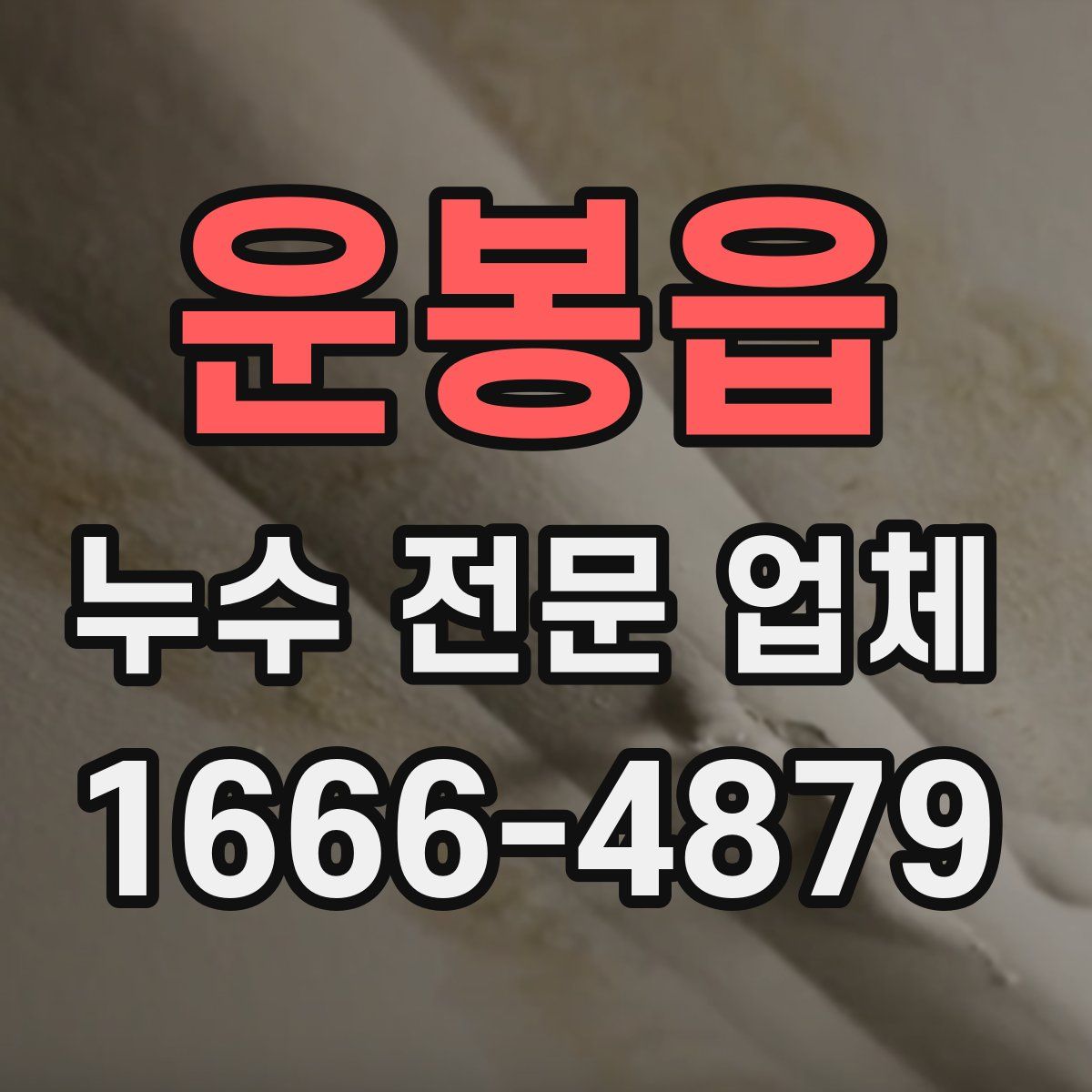 운봉읍 누수 전문 업체