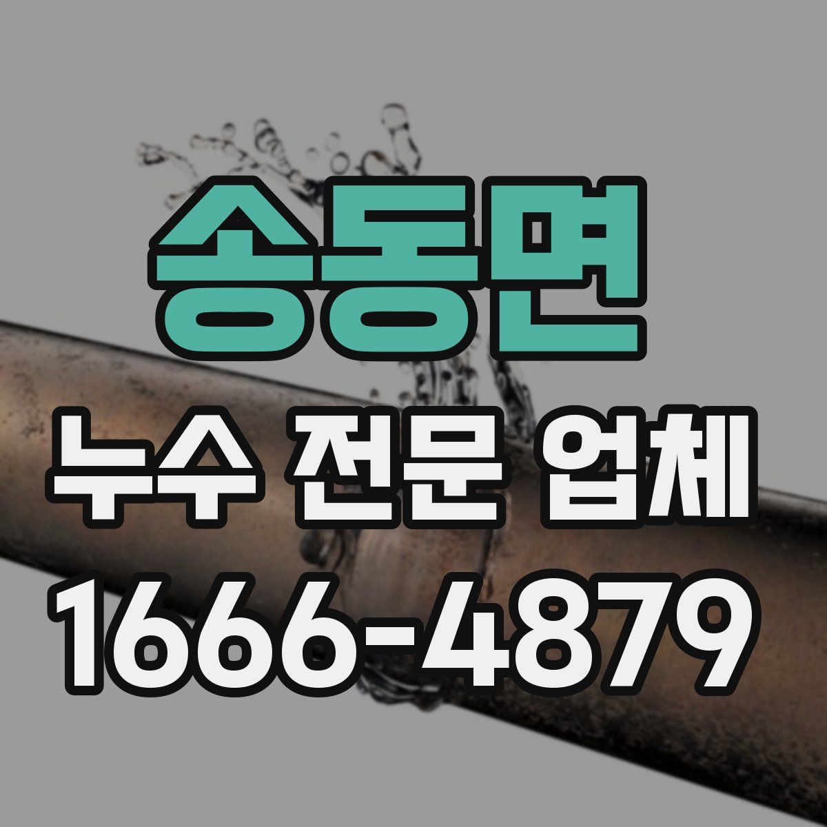 송동면 누수 전문 업체