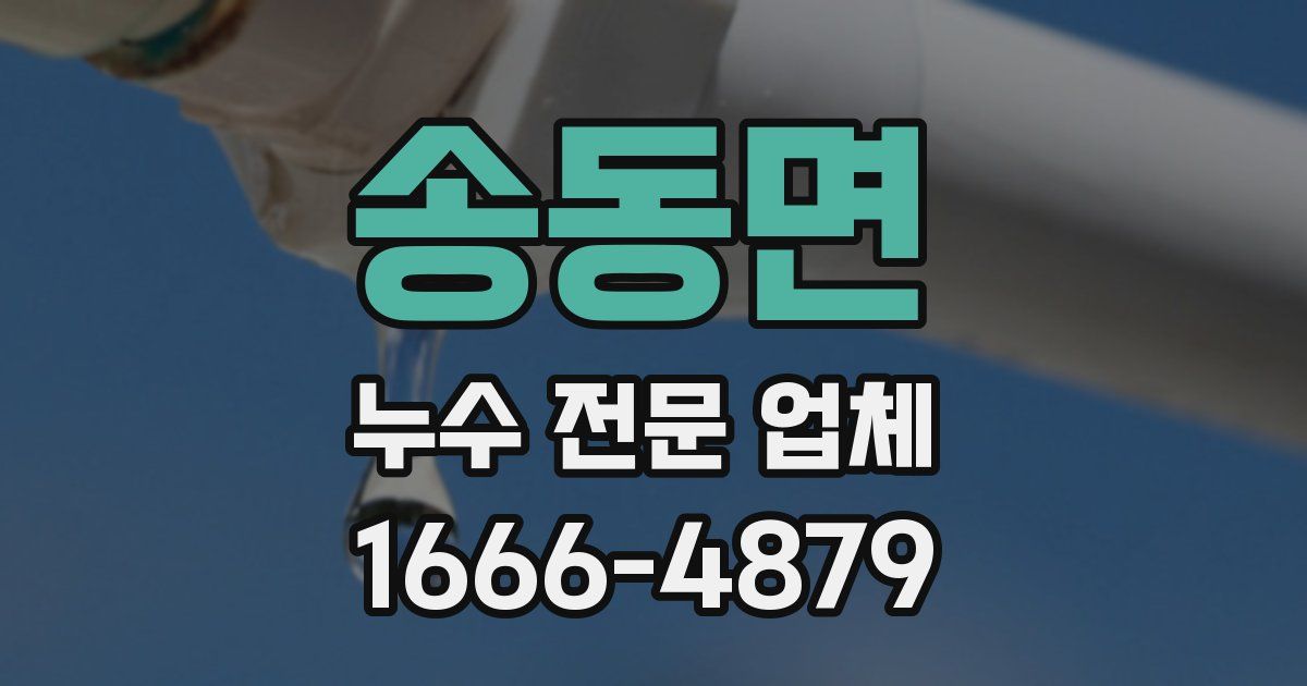 송동면 누수 전문 업체