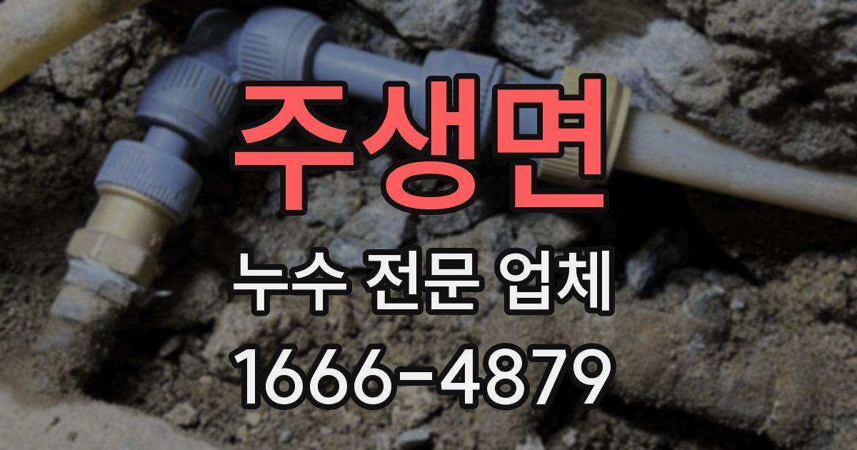 주생면 누수 전문 업체