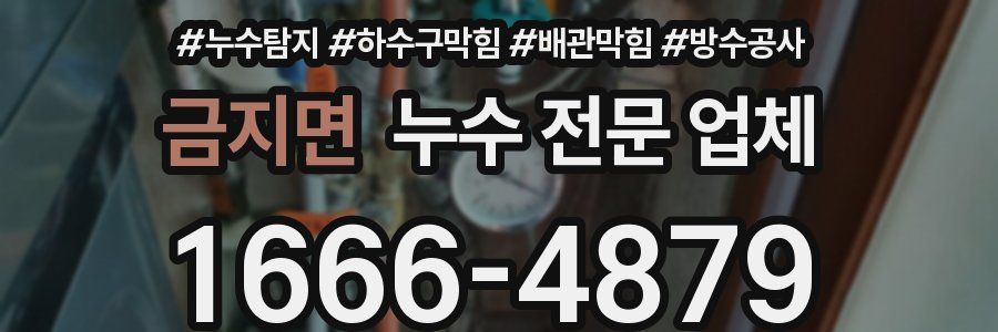 금지면 누수 전문 업체
