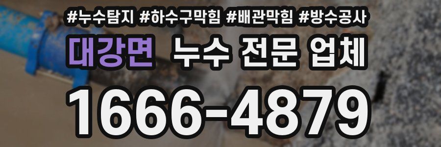 대강면 누수 전문 업체