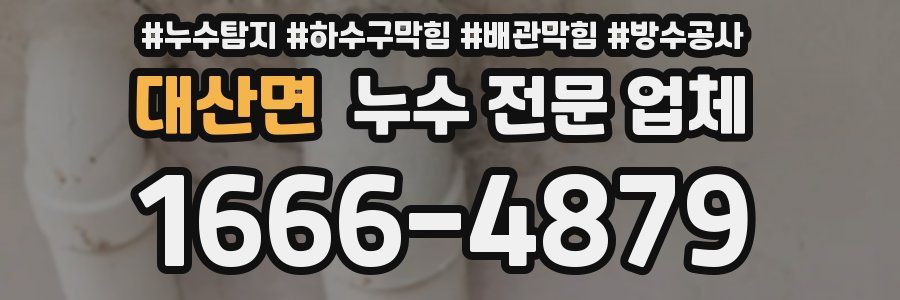 대산면 누수 전문 업체