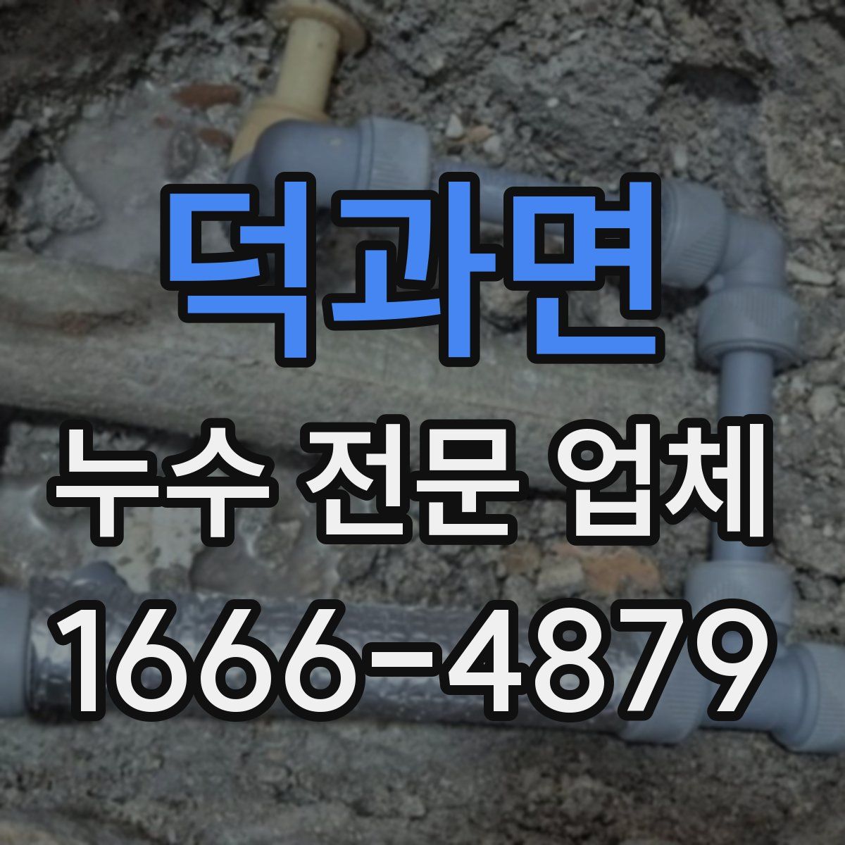 덕과면 누수 전문 업체