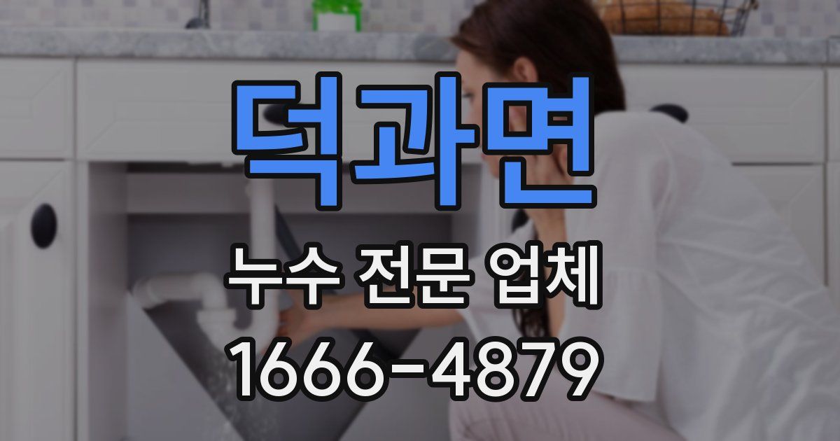 덕과면 누수 전문 업체