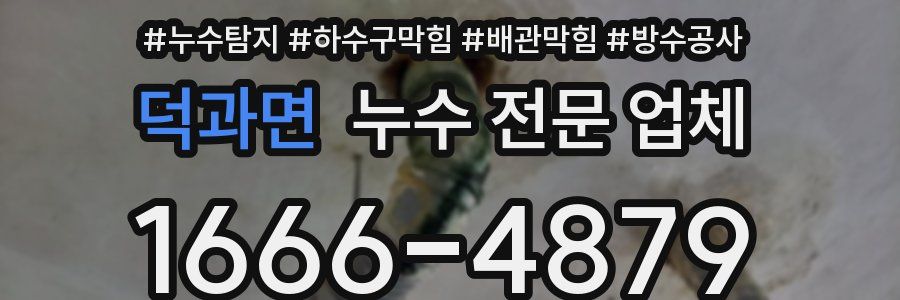 덕과면 누수 전문 업체
