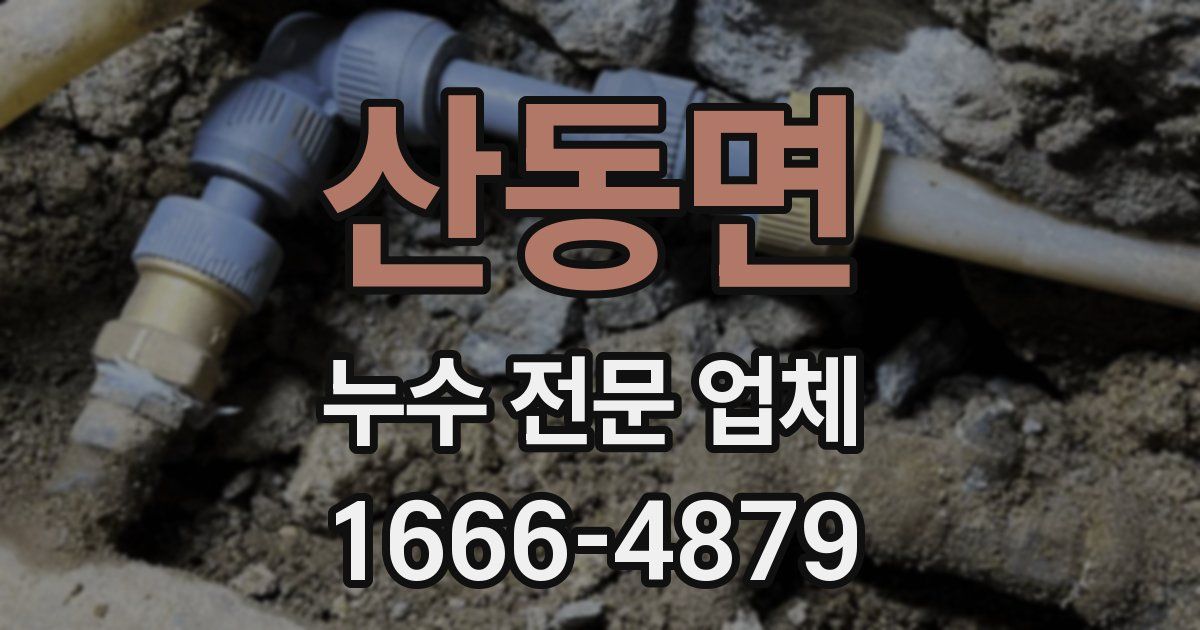 산동면 누수 전문 업체