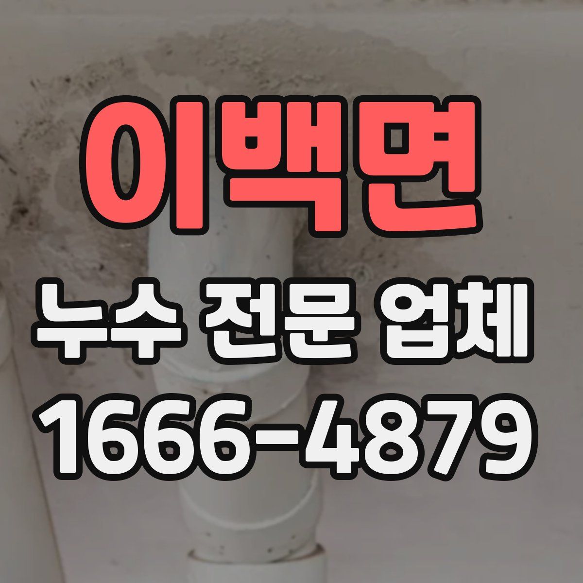 이백면 누수 전문 업체