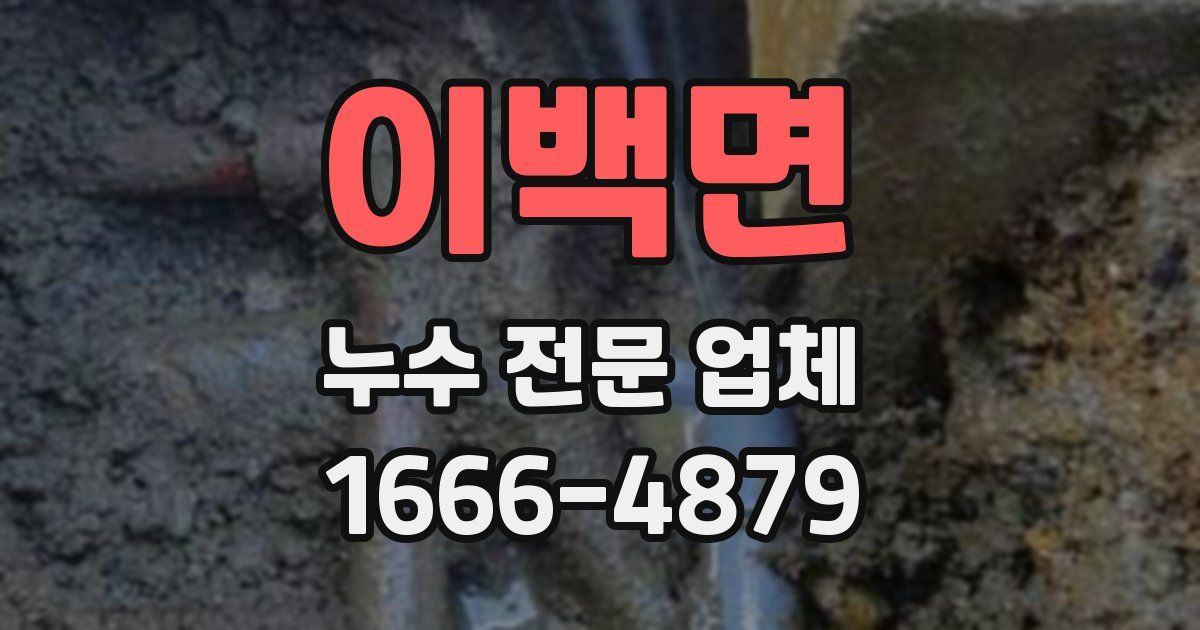 이백면 누수 전문 업체