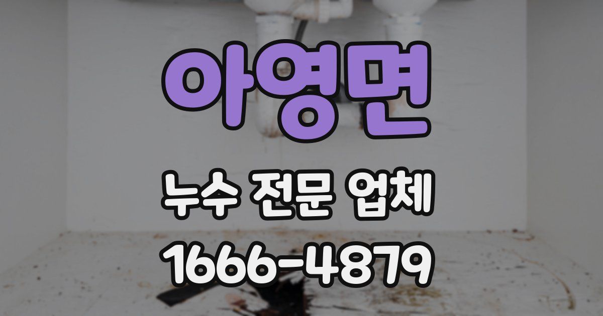아영면 누수 전문 업체
