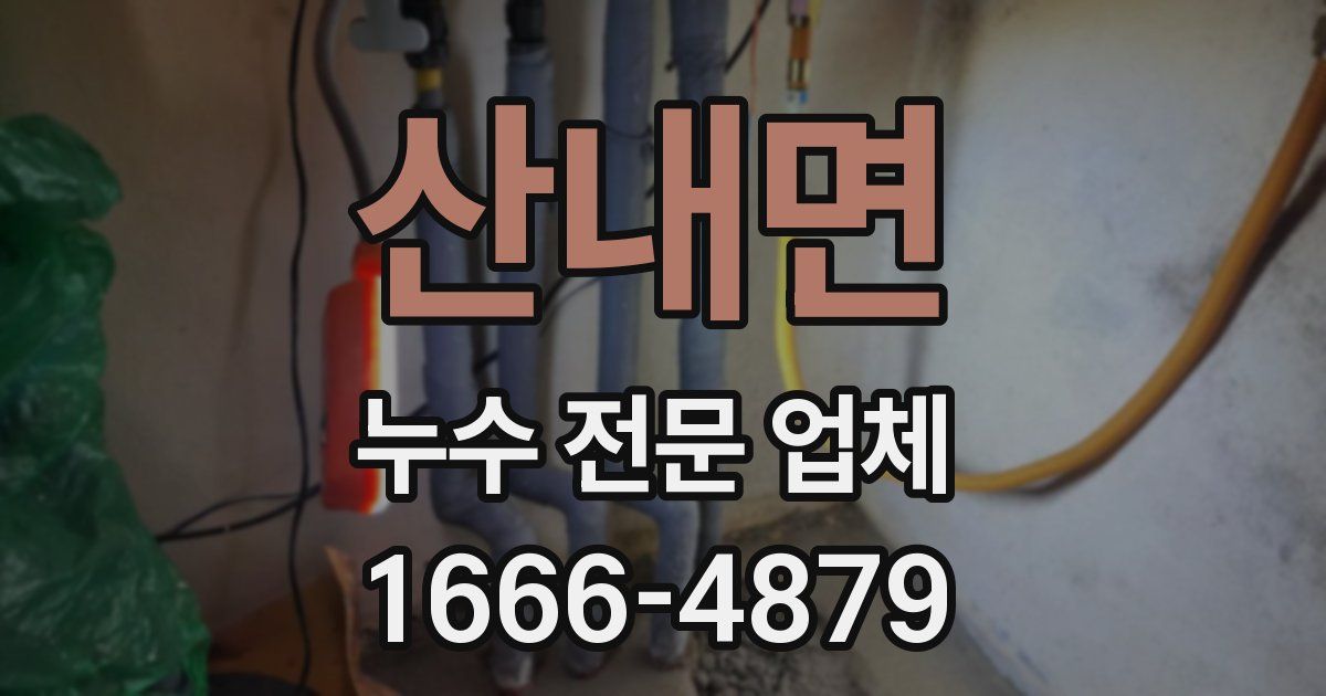 산내면 누수 전문 업체